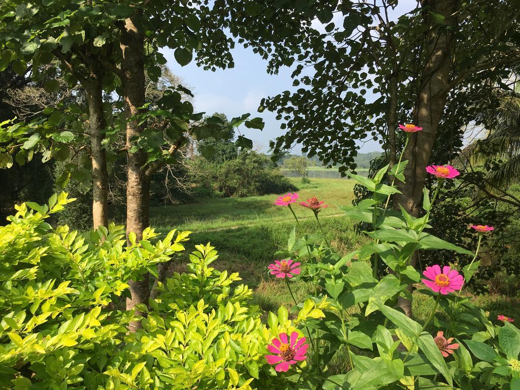 Blue Lake Ridge Maha Oya Exterior foto